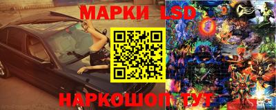 мяу мяу мука Малоярославец