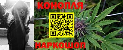 мяу мяу мука Малоярославец